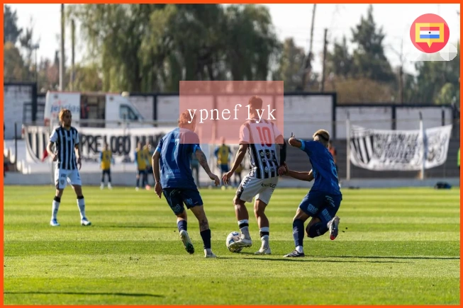 ypnef1yk