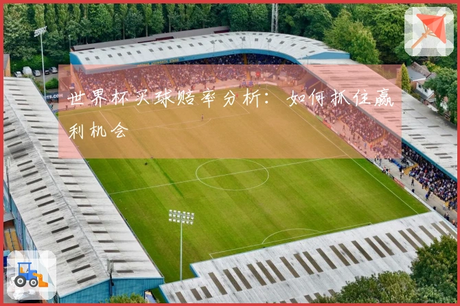 世界杯买球赔率分析：如何抓住赢利机会