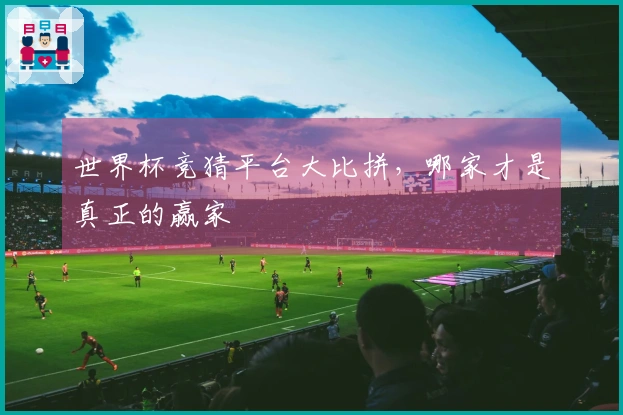 世界杯竞猜平台大比拼，哪家才是真正的赢家
