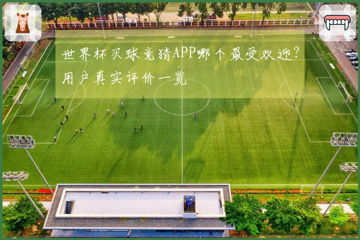 世界杯买球竞猜APP哪个最受欢迎？用户真实评价一览