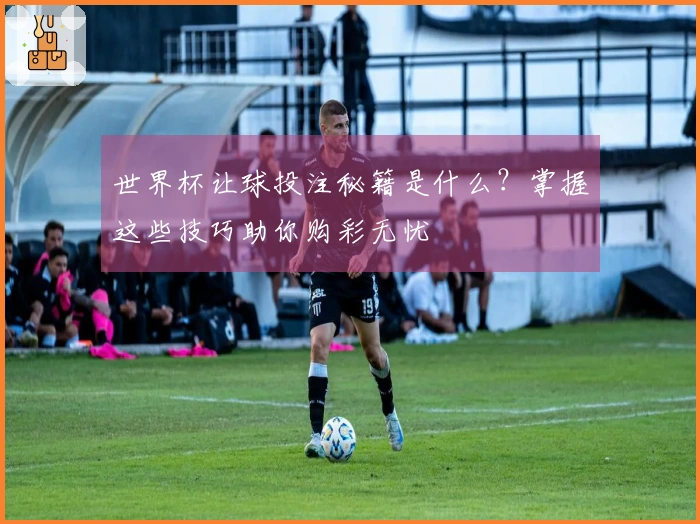 世界杯让球投注秘籍是什么？掌握这些技巧助你购彩无忧