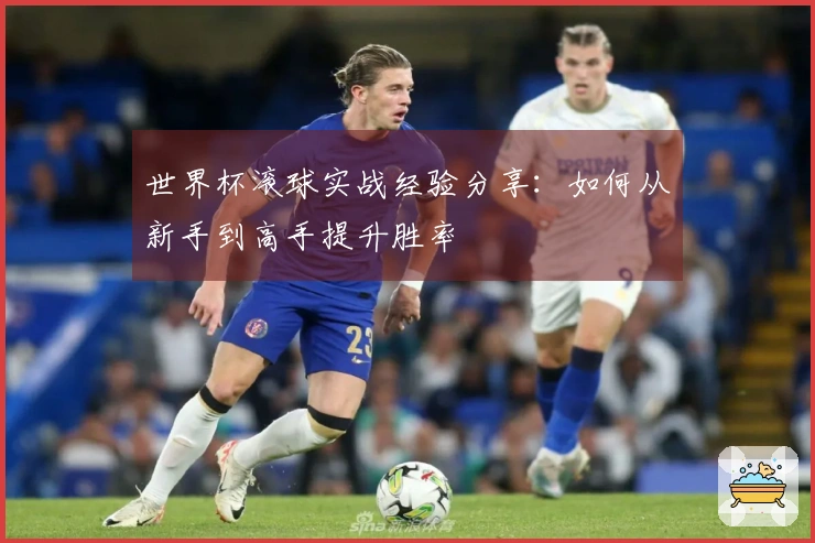 世界杯滚球实战经验分享：如何从新手到高手提升胜率