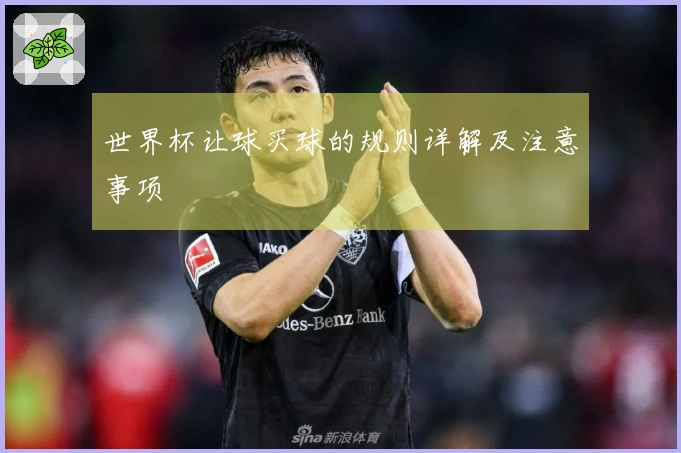 世界杯让球买球的规则详解及注意事项
