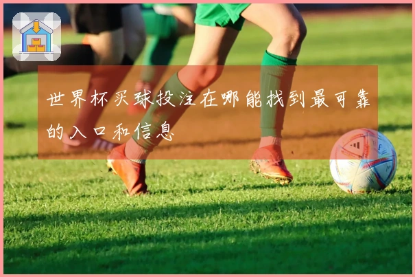 世界杯买球投注在哪能找到最可靠的入口和信息