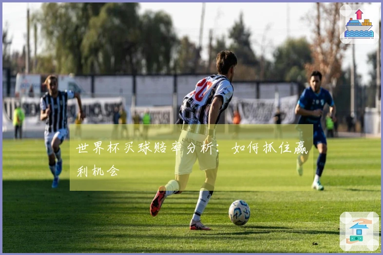 世界杯买球赔率分析：如何抓住赢利机会
