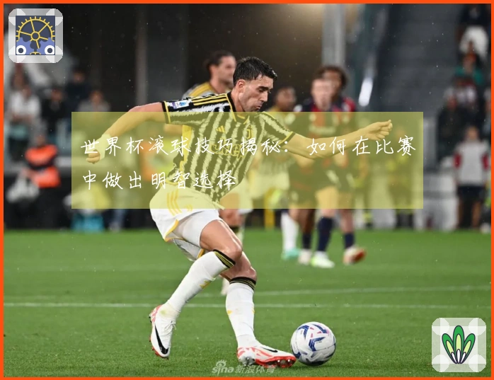 世界杯滚球技巧揭秘：如何在比赛中做出明智选择