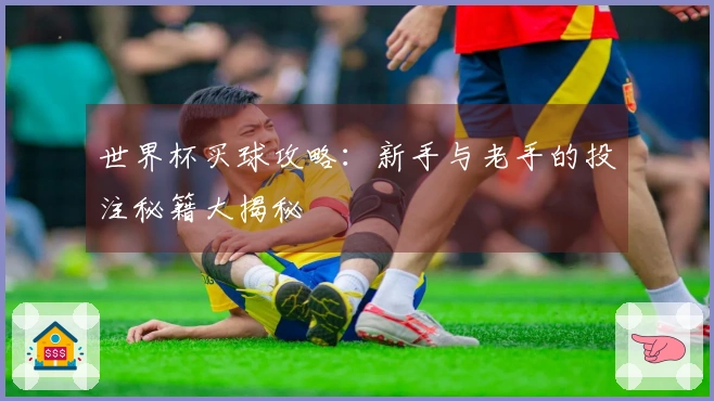 世界杯买球攻略：新手与老手的投注秘籍大揭秘