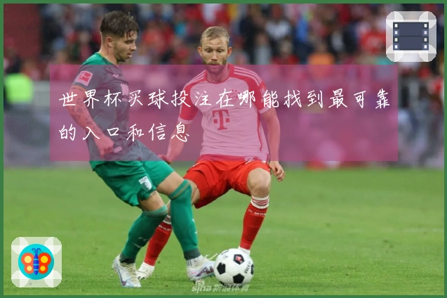 世界杯买球投注在哪能找到最可靠的入口和信息