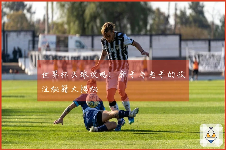 世界杯买球攻略：新手与老手的投注秘籍大揭秘