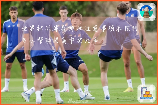 世界杯买球有哪些注意事项和技巧可以帮助提高中奖几率