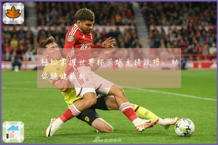 轻松掌握世界杯买球竞猜技巧，助你稳健获利