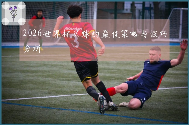 2026世界杯买球的最佳策略与技巧分析