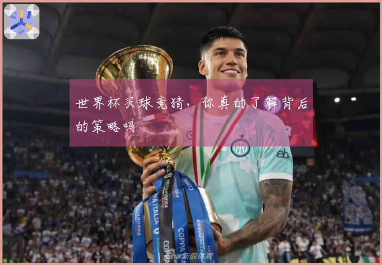 世界杯买球竞猜，你真的了解背后的策略吗