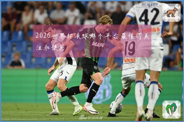2026世界杯滚球哪个平台最值得关注和使用