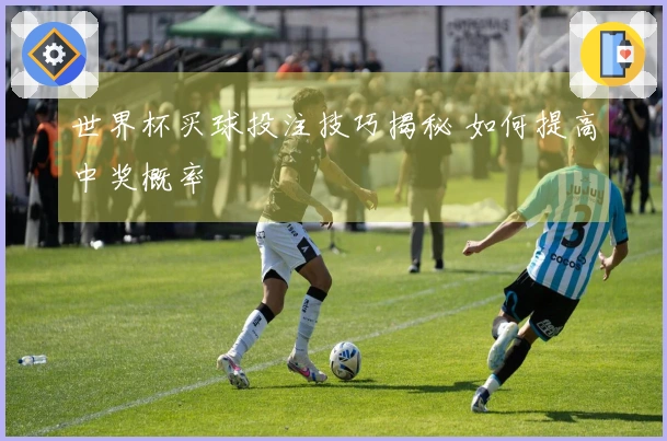 世界杯买球投注技巧揭秘 如何提高中奖概率