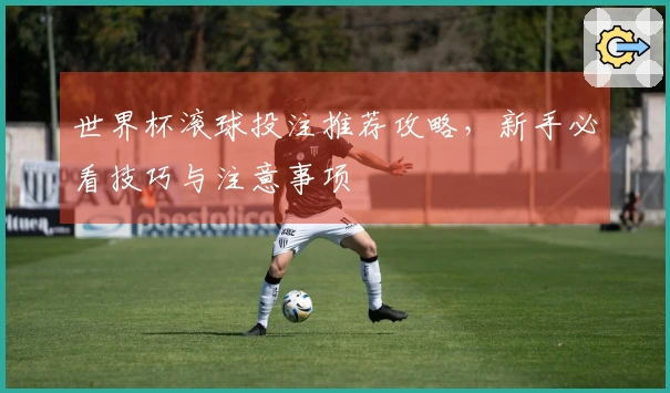 世界杯滚球投注推荐攻略，新手必看技巧与注意事项