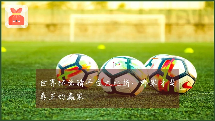 世界杯竞猜平台大比拼，哪家才是真正的赢家