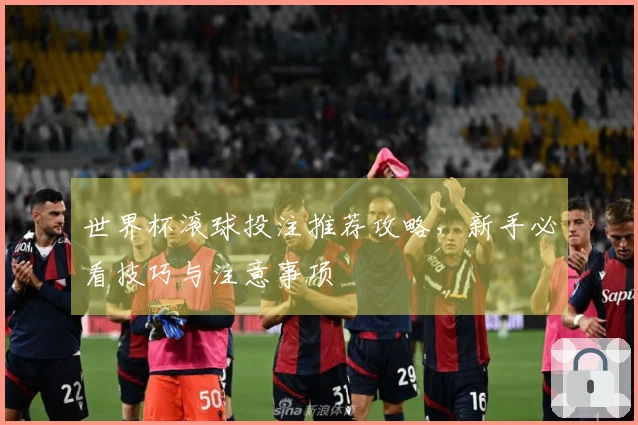 世界杯滚球投注推荐攻略，新手必看技巧与注意事项