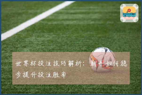 世界杯投注技巧解析：新手如何稳步提升投注胜率