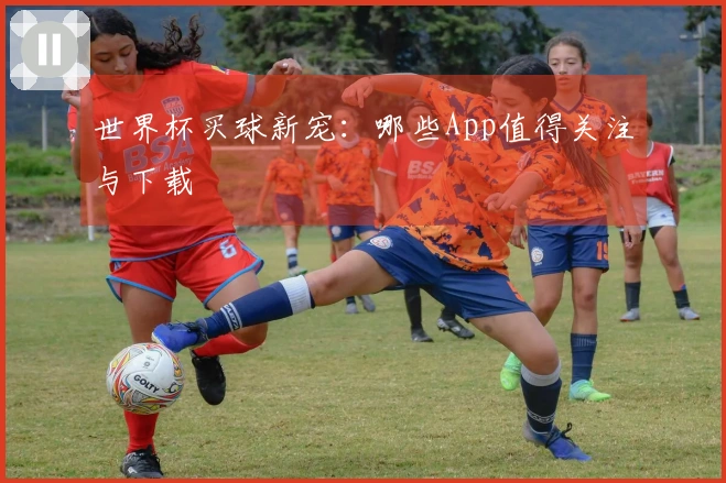 世界杯买球新宠：哪些App值得关注与下载