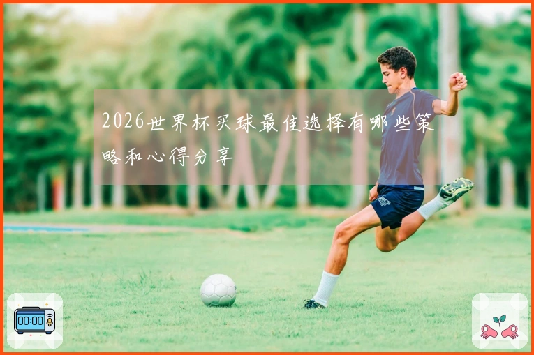 2026世界杯买球最佳选择有哪些策略和心得分享