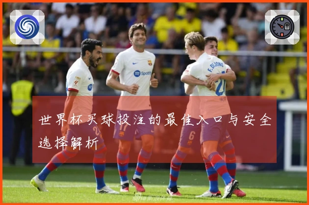 世界杯买球投注的最佳入口与安全选择解析