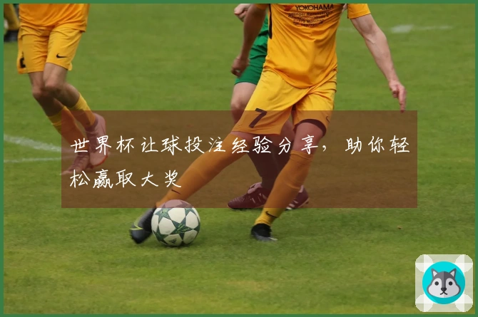 世界杯让球投注经验分享，助你轻松赢取大奖