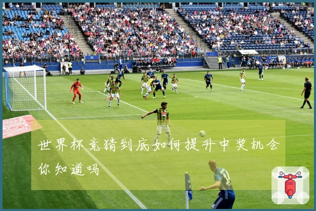 世界杯竞猜到底如何提升中奖机会你知道吗