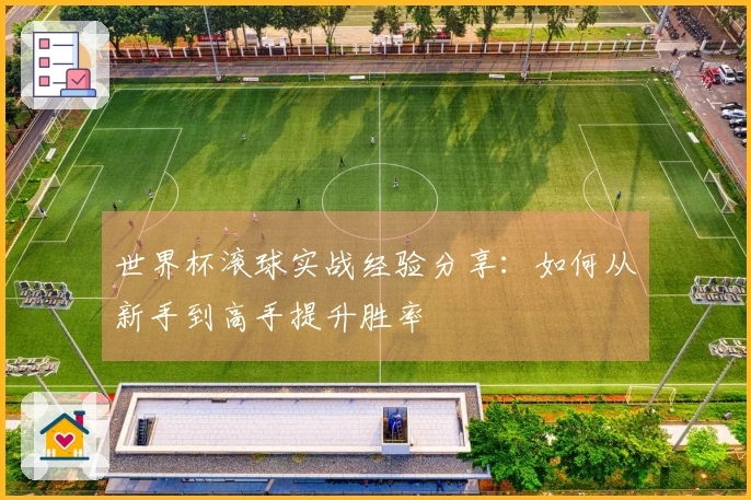 世界杯滚球实战经验分享：如何从新手到高手提升胜率